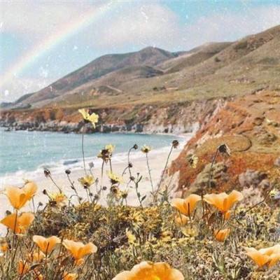 江南体育app下载下载手机版