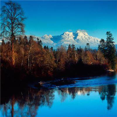 开元ky888vip手机app下载