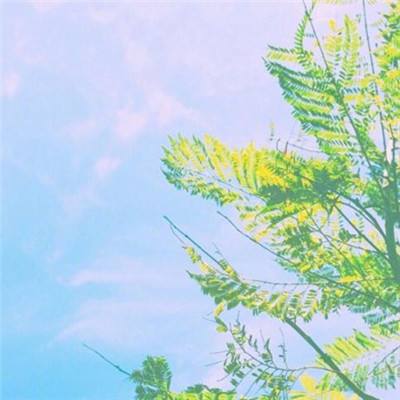 星空游戏手机app下载