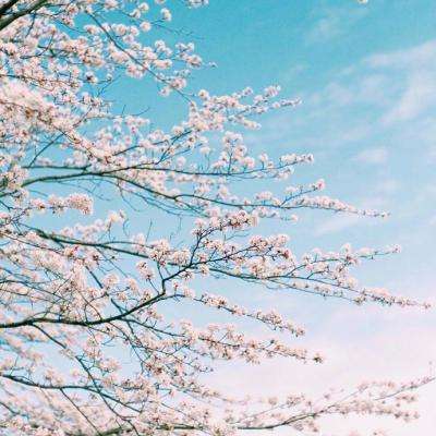 江南体育app下载下载手机版截图