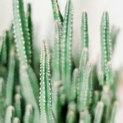 皇冠足彩官网下载最新版