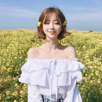 澳门4949资料免费大全app下载